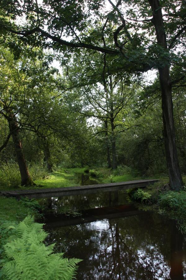 Vakantiehuis Appelvink, Toplocatie In Bosrijke Omgeving Ойстервик Екстериор снимка