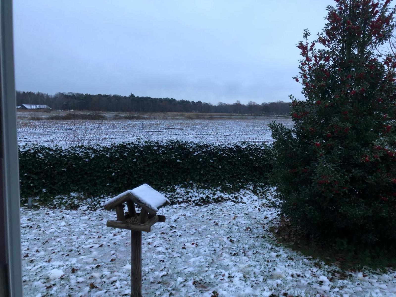 Vakantiehuis Appelvink, Toplocatie In Bosrijke Omgeving Ойстервик Екстериор снимка